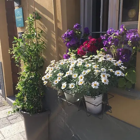 Annabella Frühstückspension