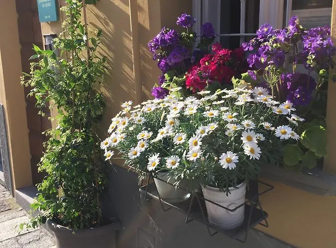 Annabella Bed & Breakfast